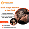 Astrologer Sharma|Black Magic Removal in New York