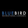 BlueBird Cannabis Co. Centretown