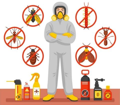 Best Pest Control in South Kensington Get 20% Off Now