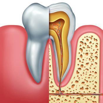 DB Dental Care