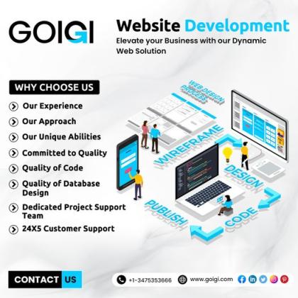 Professional web development company