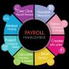 Expert Payroll Tax Consultant Services | SGC Management Services Pvt. Ltd.