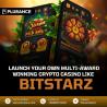 Launch your profitable online casino platform with bitstarz clone script