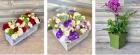 Fresh Flower Delivery in Belmont – Fast & Affordable