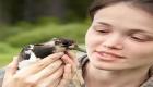 Bird Pest Control San Francisco