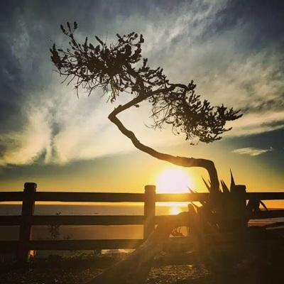Felicity Mental Health - Santa Barbara