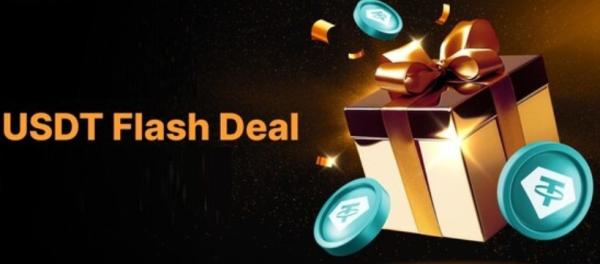 Flash up to $10,000,000 USDT Per Day.