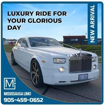 Mississauga Party Bus Rentals