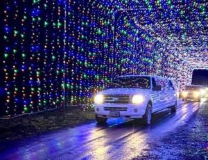 Limousine Rentals for Any Occasion