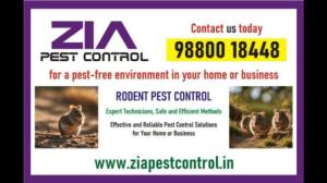 Zia Pest Control Rodent Control | 21% Off Paying Guest Residence | 7071