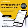 The Ultimate White-Label Crypto Exchange Script for Visionary Entrepreneurs