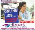 Trusted Data Entry Work With Attractive Income