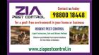 Zia Pest Control Rodent Control | 21% Off Paying Guest Residence | 7071