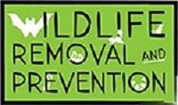 Wildlife Removal & Prevention