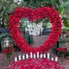 Are You Looking for the Best Help with Proposals Planning in Sarasota?