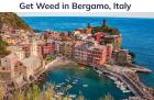 Get Weed in Bergamo, Italy