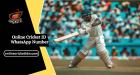Online Cricket ID WhatsApp Number: Register & Get Instant Bonus Offers