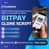 Revolutionize Digital Payments - Build Your BitPay-Like Platform Today