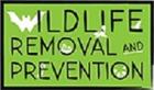Wildlife Removal & Prevention